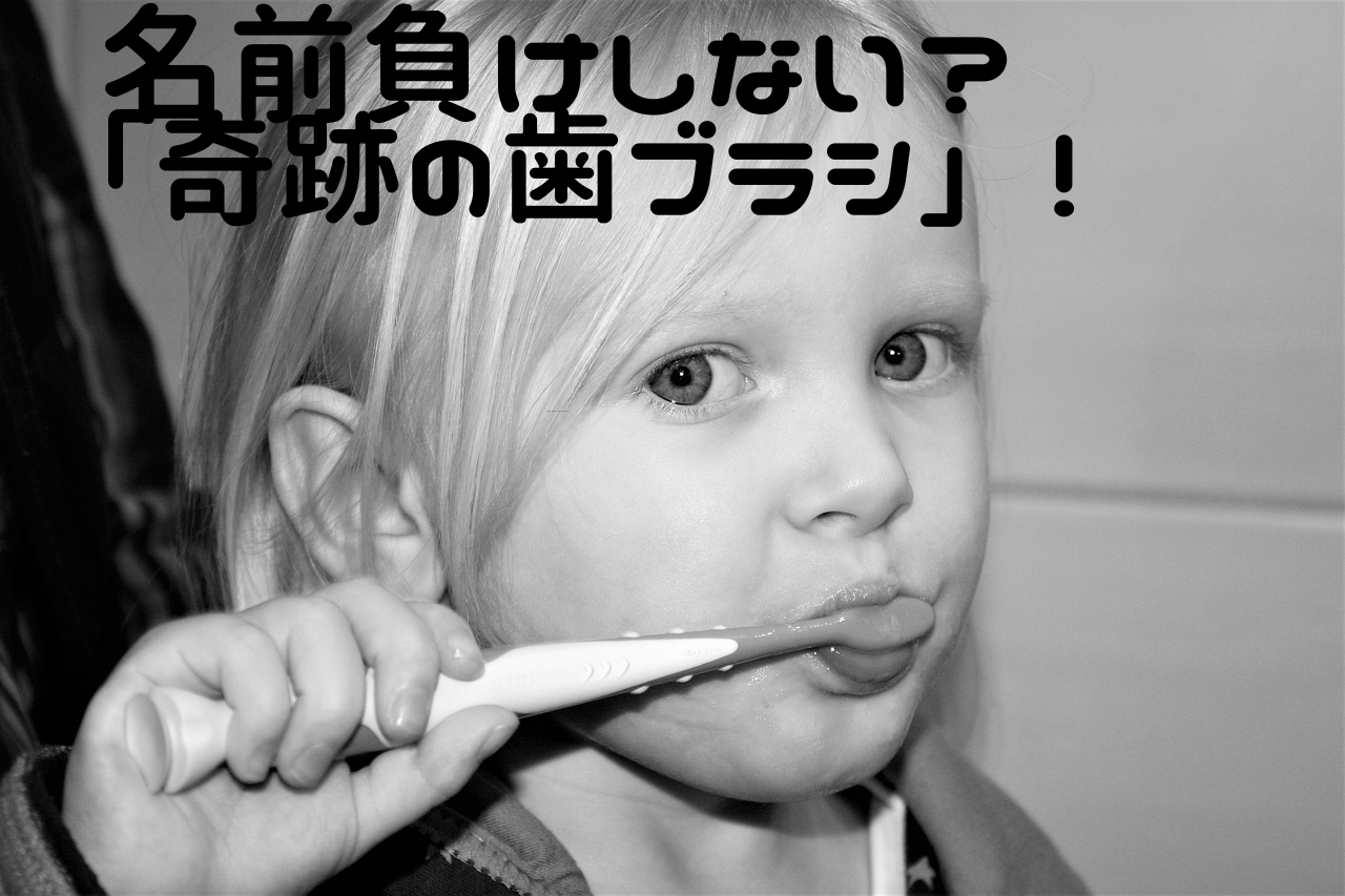 奇跡の歯ブラシの紹介記事の画像